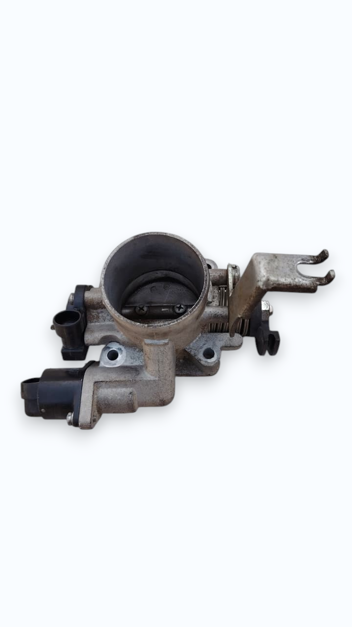 Cuerpo de aceleracion Dongfeng C35