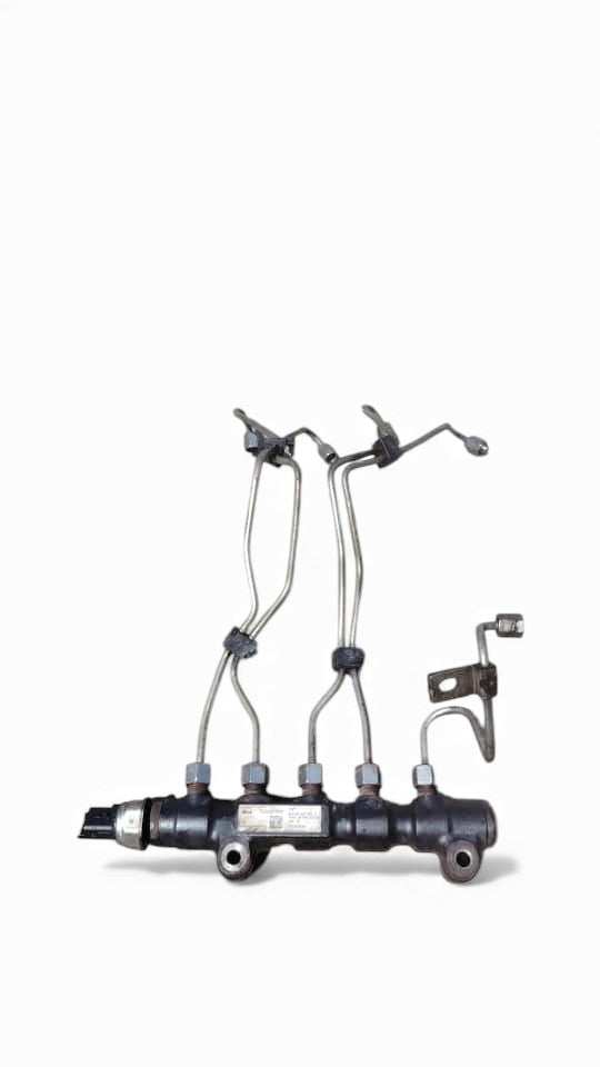 Riel comun de inyeccion Citroen Berlingo hdi
