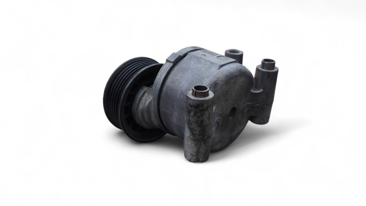 Tensor correa de accesorios Volvo C30
